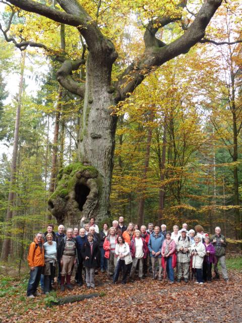 Helsa, Kaufungen und der Kaufunger Wald - Geo-Naturpark Frau-Holle-Land