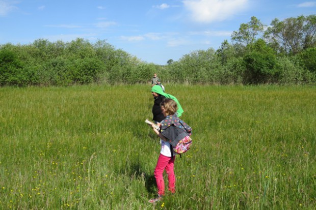 Ochideen zählen am Latzigsee (Foto: Naturpark)