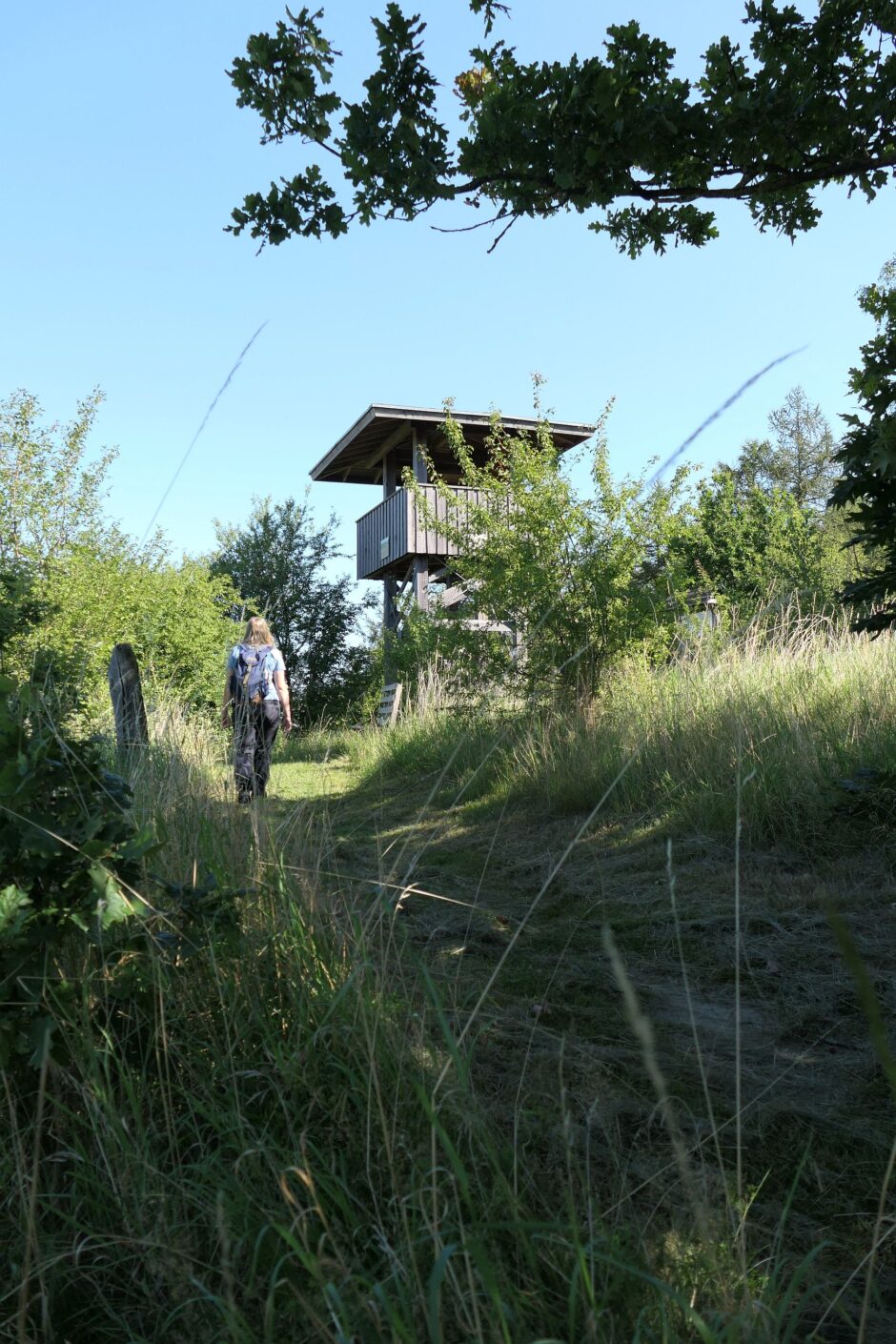 Auf dm Weg zum Fuchsberg