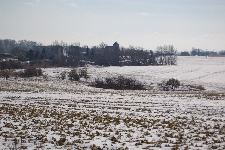 Winterliche Stimmung im Naturpark (Foto: Naturpark-Archiv)