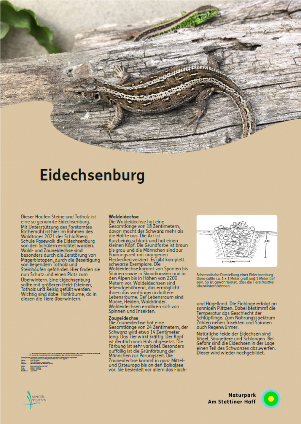 Informationstafel -Eidechsenburg