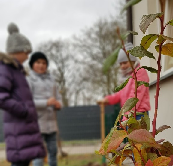 Süßes für die NaturparkSchulen Naturpark Am Stettiner Haff