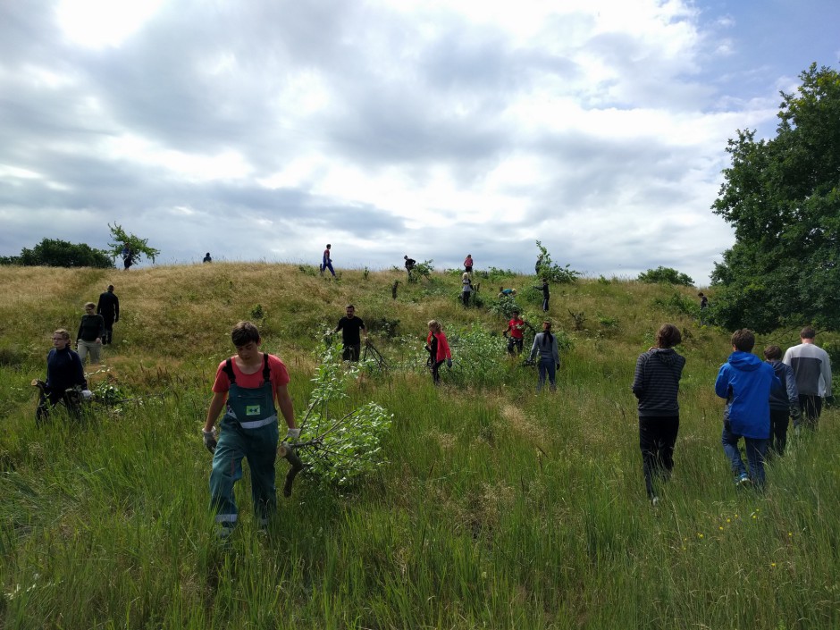 engagiert in den Binnendünen (Archiv: Humboldt-Gymnasium HGW)
