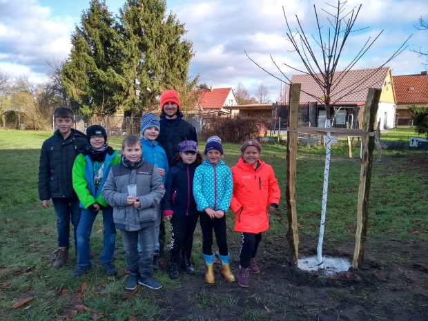 IMG_20191119_113125275_HDR