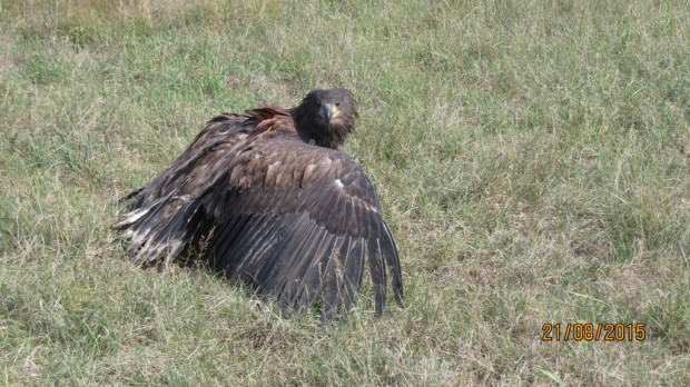 Danke und Tschüss (Foto: J. Krüger)