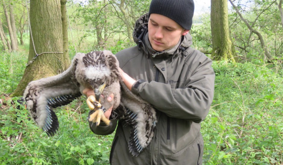 Nick Höpfner mit Adler