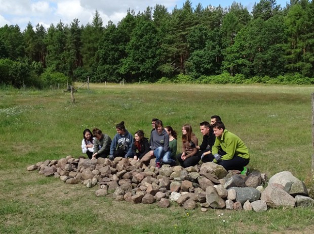 Der (Lesestein) - haufen kann sich sehen lassen (Foto: Naturparkarchiv)