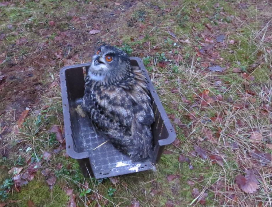 Ich will gar nicht... (Foto: Naturpark-Archiv)