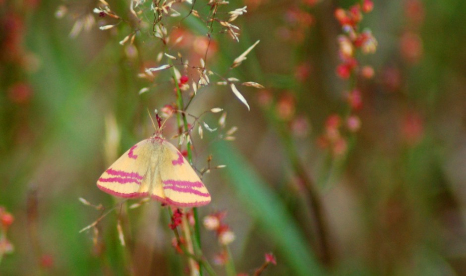 ????????????????????????????????????