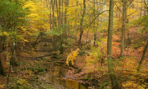 'zauberhafte Briese' Copyright Naturpark Barnim 'zauberhafte Briese' Copyright Naturpark Barnim 'zauberhafte Briese' Copyright Naturpark Barnim
