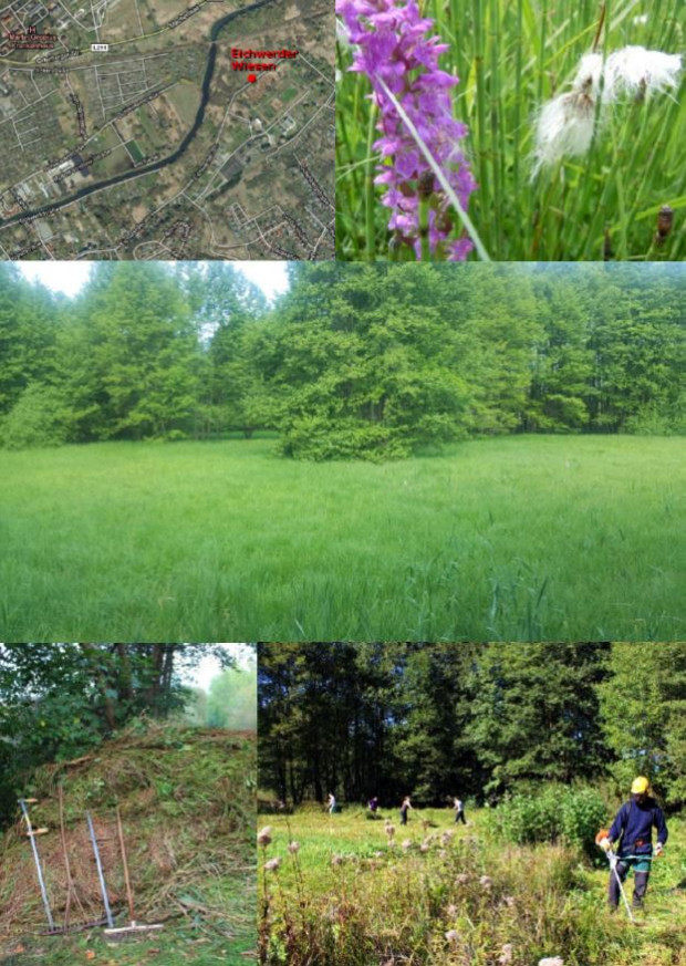 Collage Wettbewerbsaufnahmen 620x873 Wettbewerb “Naturparkprojekt 2021″ – Beiträge zur nachhaltigen Entwicklung des Naturparks