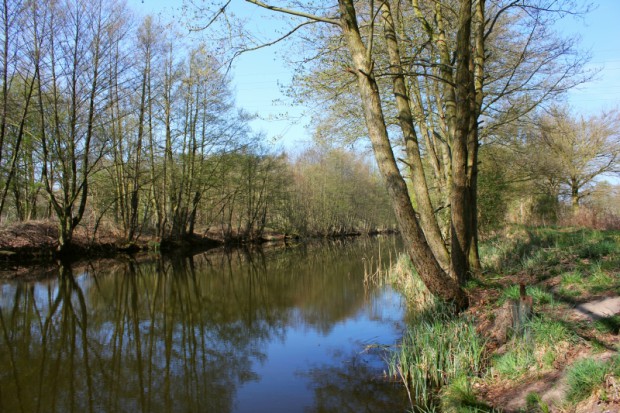 Langer Trödel bei Liebenwalde