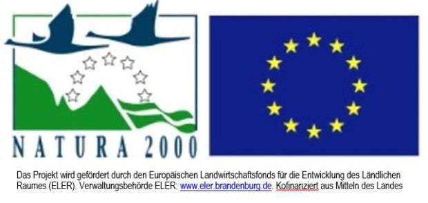 Logo ELER EU 620x294 Information zum Stand der FFH Managementplanung