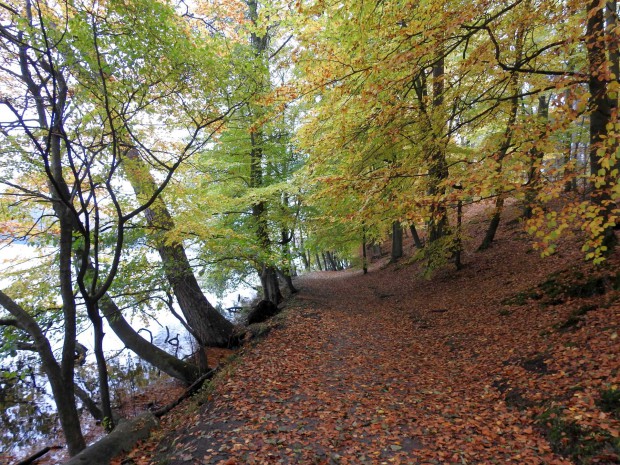 Wandern am Liepnitzsee (Foto: Dr. Wolfgang Pagel)