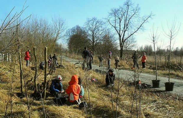 Pflanzaktion am Alten Bernauer Heerweg Pflanzaktion_DirkKrone