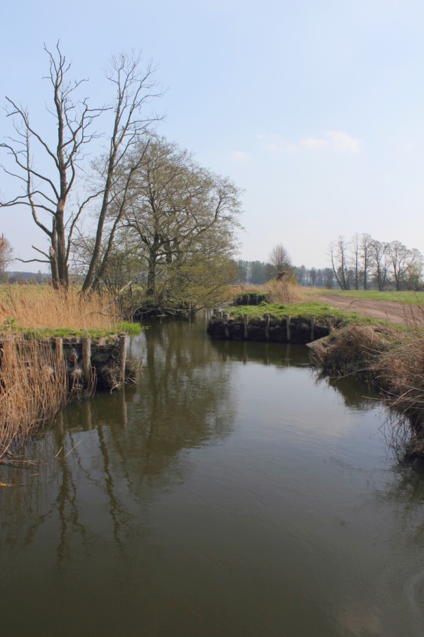 Schnelle Havel bei Neuholland