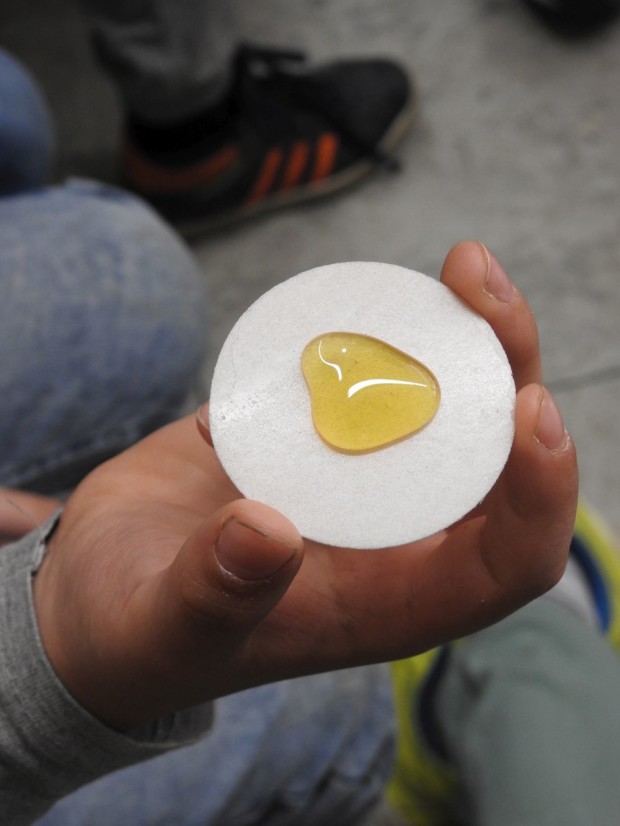 Der Honig wird probiert (Bild: Inga Dohmann)