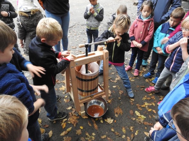 Der Apfelsaft läuft aus der Presse (Bild: Naturpark Bergisches Land/ Inga Dohmann)