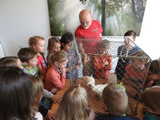 Peter Schmidt hat zwei Hühner mitgebracht (Foto: Inga Dohmann)