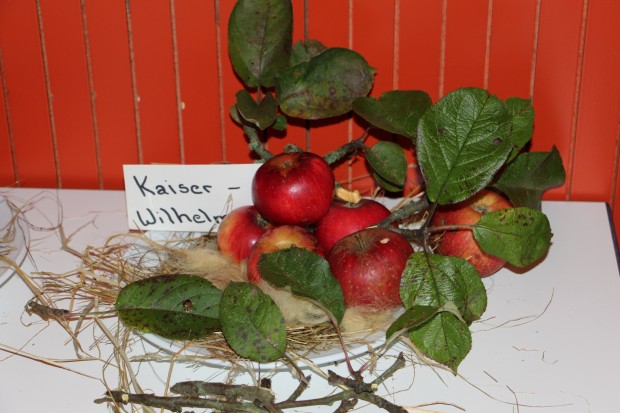 Es wird eine Apfelausstellung geben (Bild: Naturpark Bergisches Land)