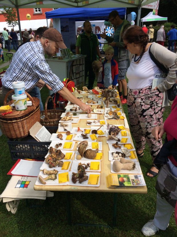Die Pilzausstellung auf dem Bergischen Landschaftstag (Bild: Naturpark Bergisches Land)