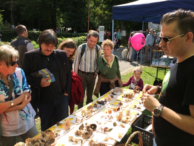 Die Pilzausstellung auf dem Bergischen Landschaftstag (Bild: Naturpark Bergisches Land)