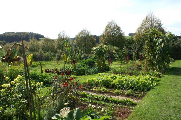 Garten im LVR-Freilichtmuseum Lindlar (Bild: LVR-Museum Lindlar)