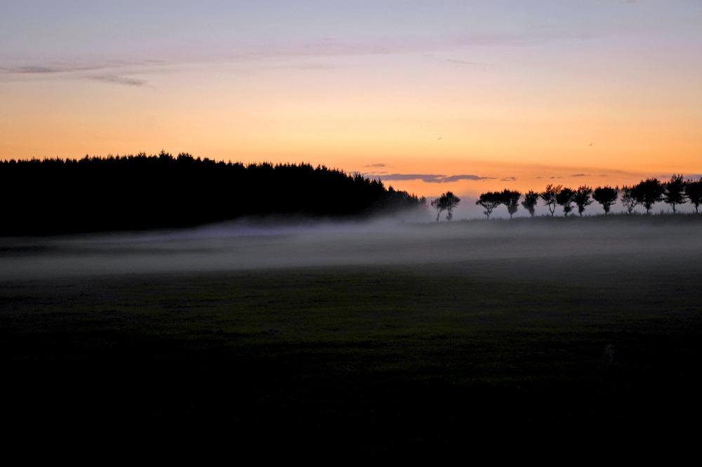 Abendkleid – © VDNG.Streich – Deutsch-Belgischer Naturpark Hohes Venn - Eifel