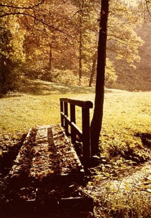 Brücke im Wald – © VDNHeiner Franz – Schönbuch