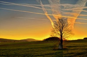Der Sonne entgegen – © VDNB. Tanneberger – Zittauer Gebirge