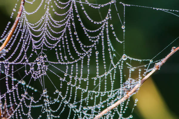 Schone Welt Wo Bist Du Bild Des Tages