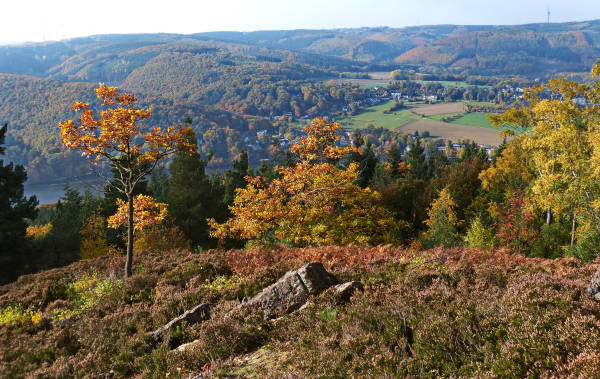 Klicken Sie auf das Bild des Tages im Fotoportal: Eifelblick im Herbst – © VDNChristel Baude - Deutsch-Belgischer Naturpark Hohes Venn - Eifel