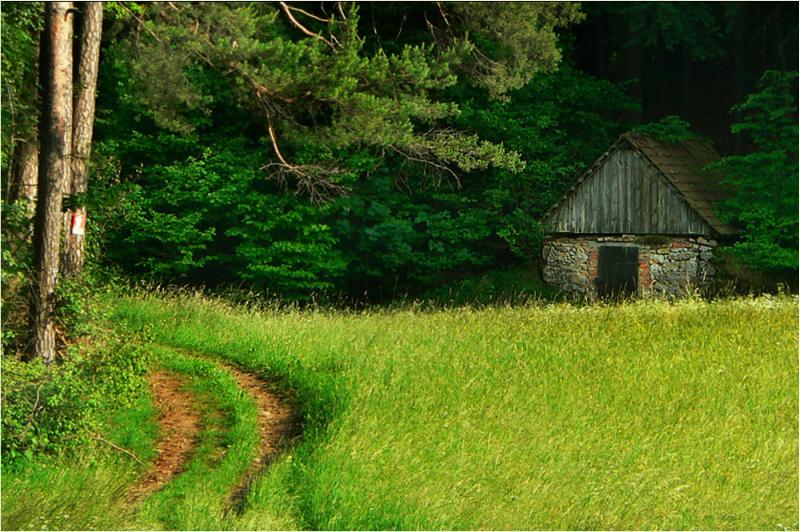 Entlang der Fraischgrenze – ©VDNVera Böhm - Fränkische Schweiz - Veldensteiner Forst