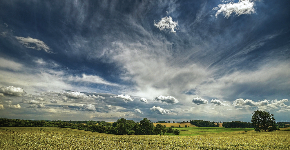 Feldraine und Hecken – © VDNblum - Lauenburgische Seen