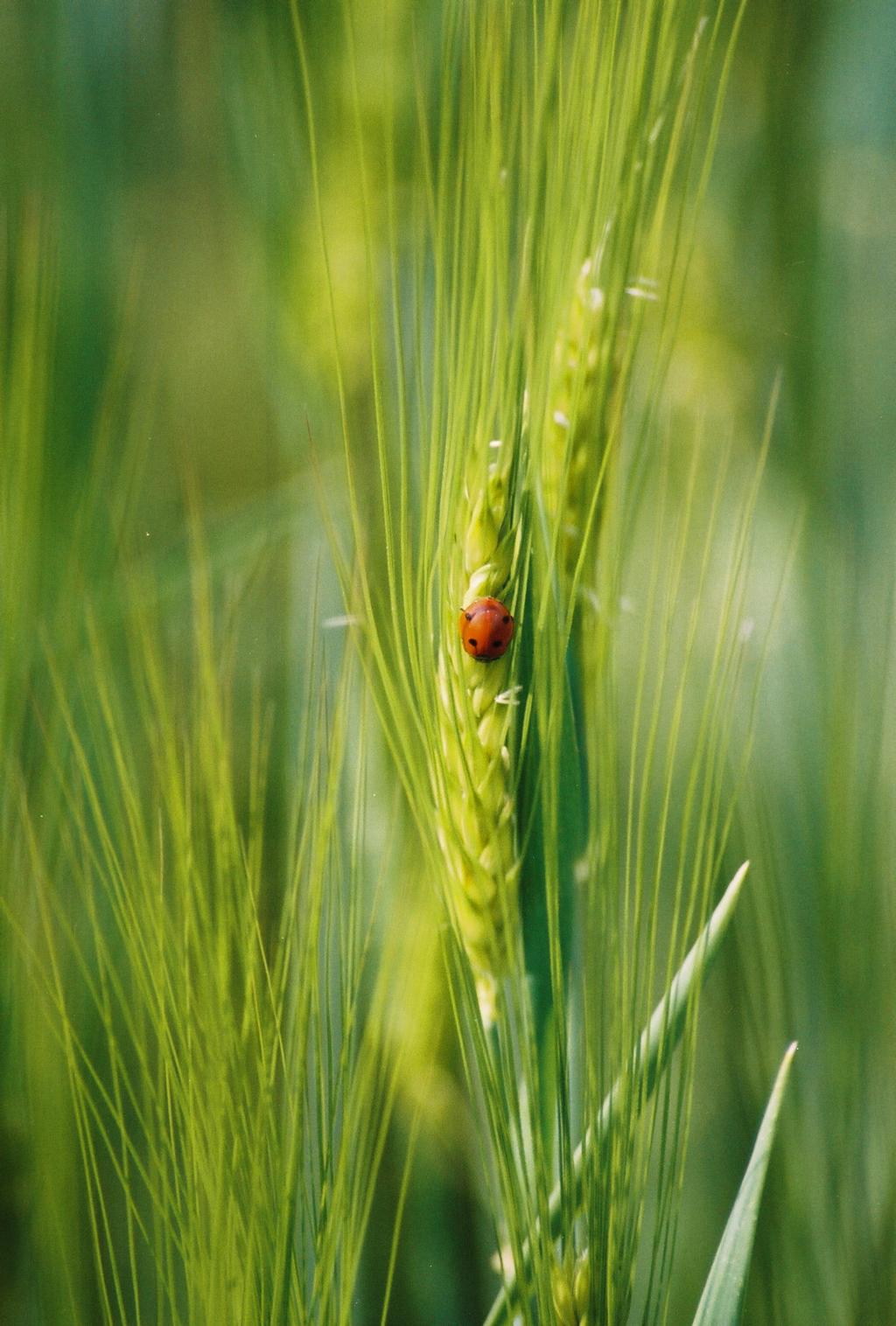 Der Frühling ist die Zeit der Pläne, der Vorsätze. Bild
