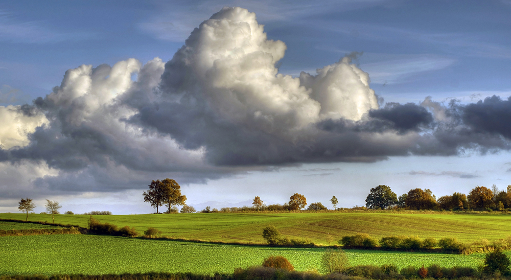 Heckenlandschaft – © VDNblum - Lauenburgische Seen