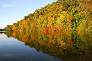 Herbst Impressionen- © VDNRW - Stromberg-Heuchelberg