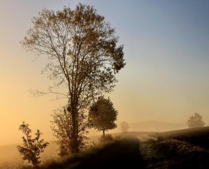 Herbst Nebel – © VDNWerner - Hessische Rhön