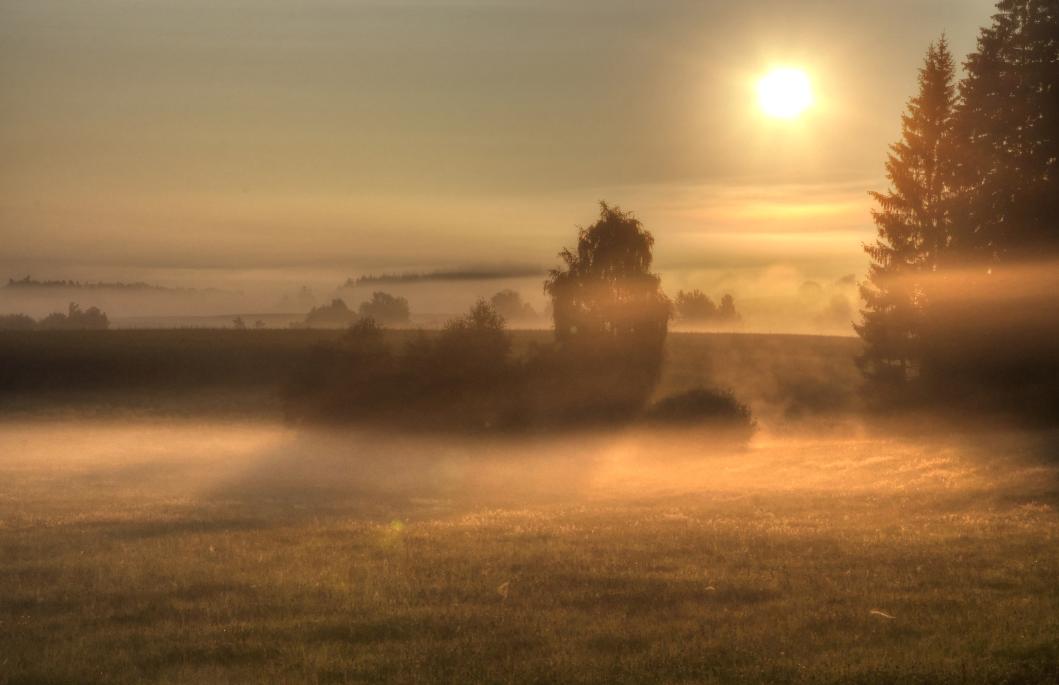 Herbststimmung – © VDNNorbert Schreiber – Nördlicher Oberpfälzer Wald