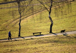 Klicken Sie auf das Bild des Tages im Fotoportal: Hund und Herrchen – © VDNJörg Willems - Rothaargebirge