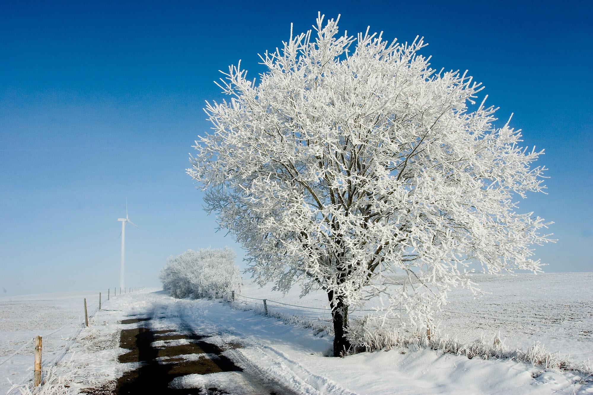 In der Winternacht Bild des Tages
