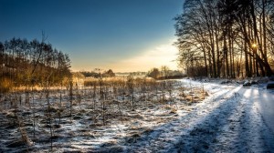 Klarheit eines Wintermorgens – ©VDNAndreas - Stromberg-Heuchelberg