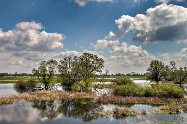 Klicken Sie auf das Bild des Tages im Fotoportal: Landschaftsspiegelung – © VDNPetra Küster - Barnim