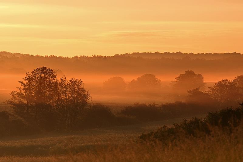 Morgenlicht – © VDNMatze - Stromberg-Heuchelberg