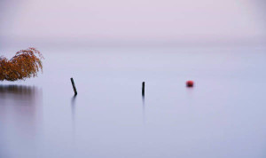 Klicken Sie auf das Bild des Tages im Fotoportal: Nebeltag – © VDNOpa - Steinhuder Meer