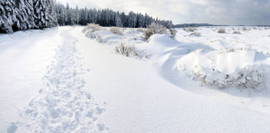 Klicken Sie auf das Bild des Tages im Fotoportal: Schneewanderung – © VDNRaimund Knauf - Deutsch-Belgischer Naturpark Hohes Venn - Eifel