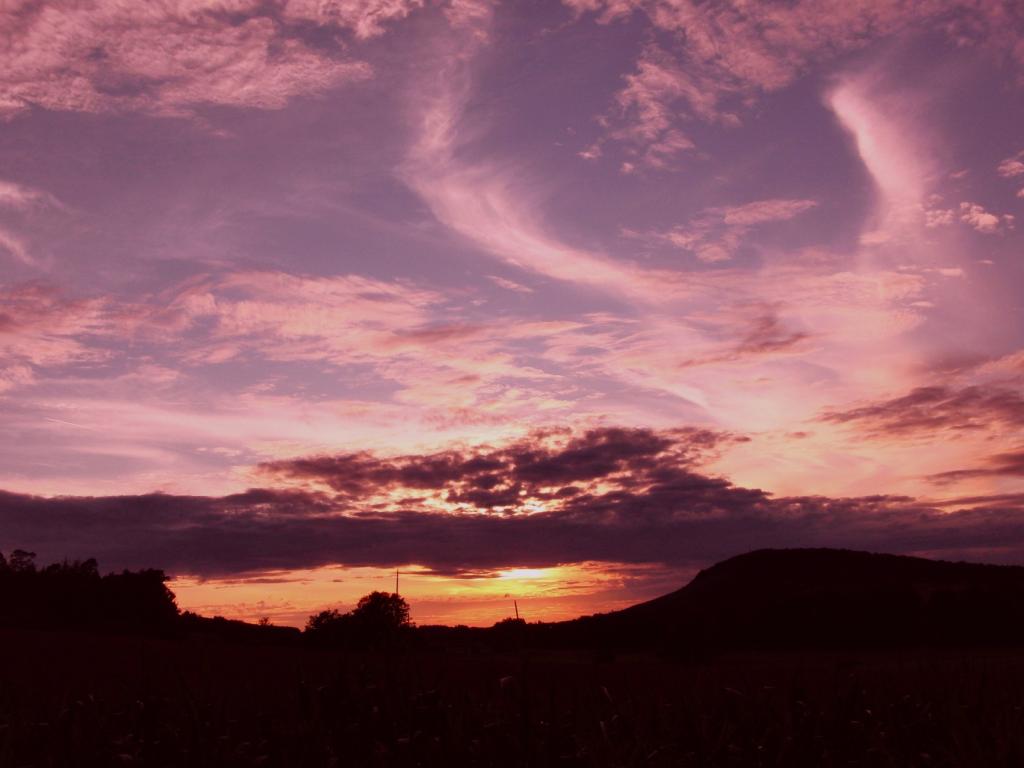 Sommerabend 2011 – © VDNClara Spielmann - Stromberg-Heuchelberg