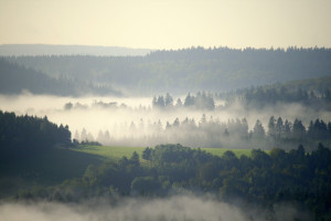Klicken Sie auf das Bild des Tages im Fotoportal: Sommernebel – © VDNJörg Willems - Rothaargebirge