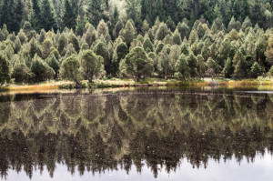 Klicken Sie auf das Bild des Tages im Fotoportal: Still spiegelt der See... – © VDNWolfEf - Südschwarzwald