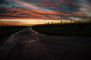 Klicken Sie auf das Bild des Tages im Fotoportal: Weg aus der Nacht – © VDNp.ponte - Soonwald-Nahe